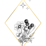Wedding planner à Roanne - organisation mariage et organisation événement à Tarare