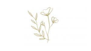 Aide mariage À roanne